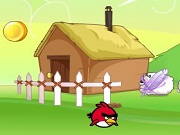 Angry Bird Journey