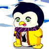 Baby Penguine