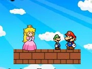 Mario Partners Adventure