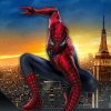 Spider-man 3 photo hunt