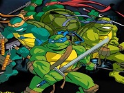 Turtles Racing